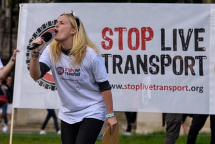 A rally protesting against the transport of live animals.