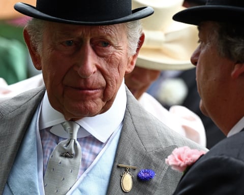 King Charles III in a light grey suit and top hat with a purple cornflower buttonhole talks to someone