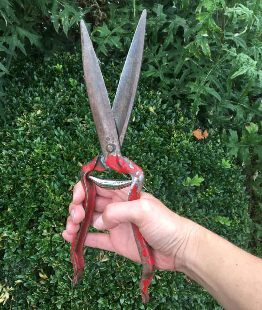 Shears