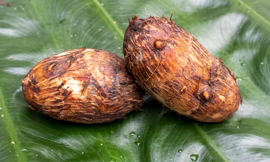 Taro root