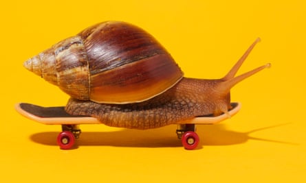 A snail on a tiny skateboard against a yellow background