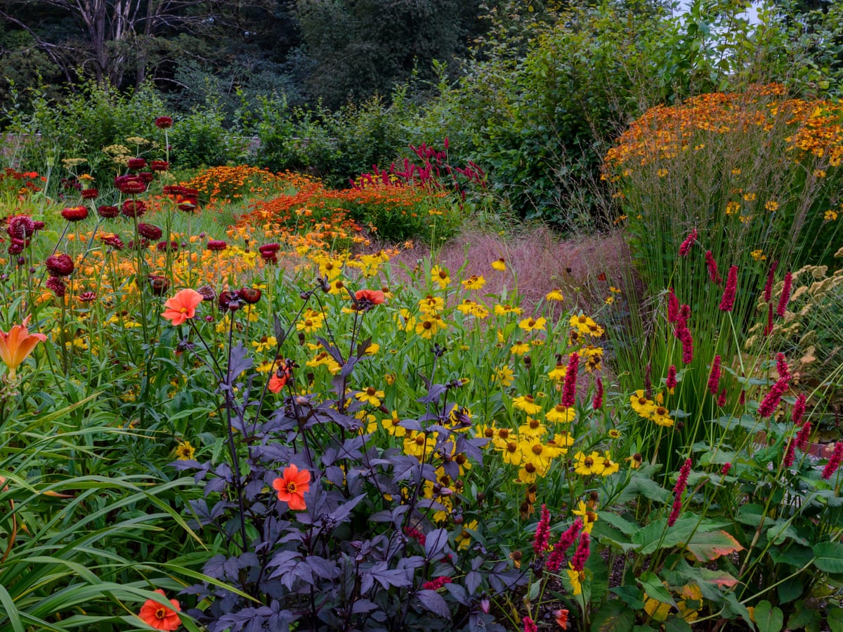 Gardens Shropshire S Late Bloomer Gardens The Guardian Gardens Shropshire S Late Bloomer Gardens The Guardian