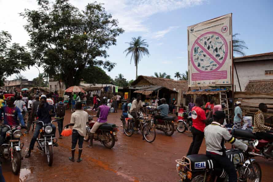 In Congo, part-time hunters boost their income with bushmeat. A WWF billboard listing protected species at the entrance of a bushmeat market in Mbandaka, DRC.