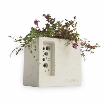 Wildcare Green&Blue BeePot Mini Planter & Bee House