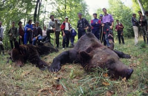 Hunters pay up to €10,000 to trophy hunt in the Carpathian mountains