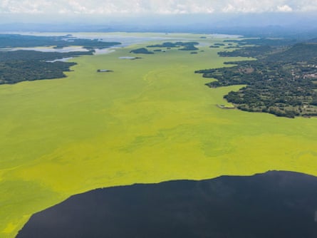 Aerial view from height of a large lake coloured bright green