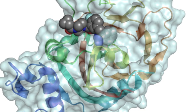 Representation of Parp1 binding olaparib. 