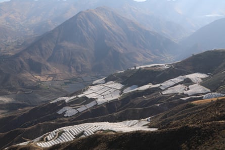 Terraced hillside fields partly covered with white crop tunnels