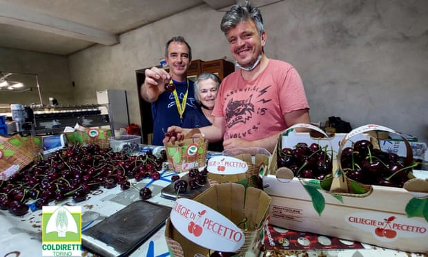 The record-breaking carmen cherry was grown by Alberto and Giuseppe Rosso from Pecetto Torinese.