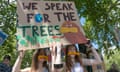 A Fridays for Future climate change protest held in London in May 2019, attended by hundreds of young campaigners from schools, colleges and universities.