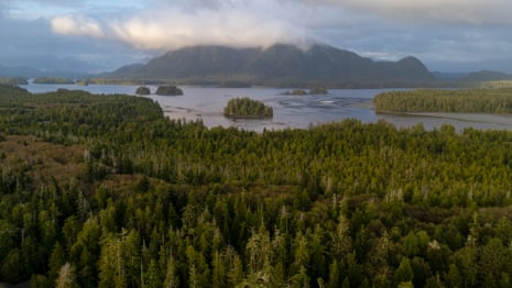 An island can be seen across water from a landscape full of trees
