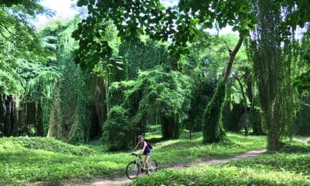 El Bosque, Havana