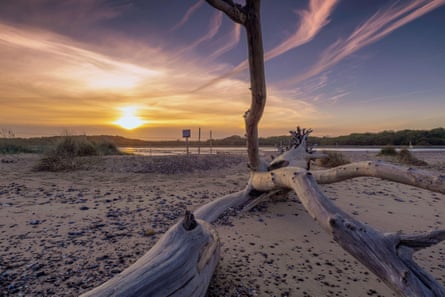 A striped, bleached tree trunk on the sand in front of a lake, with a wintry sunset