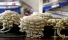 Minority ethnic women are lowest-earning barristers, report shows