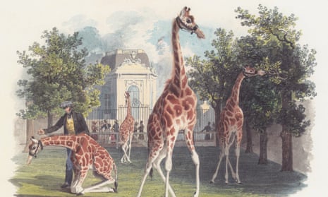 The Emperor’s giraffe by Eduard von Gurk