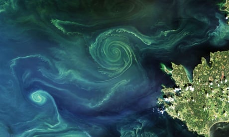 A satellite image of huge spiral of green in a deep blue sea