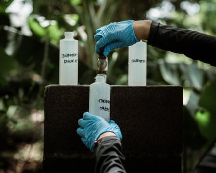 Hands wearing blue rubber gloves collect water samples from a tap in plastic bottles.