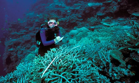 Monitoring Fiji coral reef