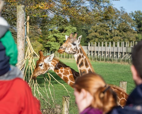 ‘Inappropriate Staring’ describes an argument at a zoo.