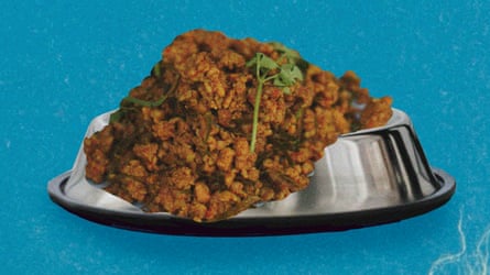 Mock-up photograph of slop nutrient successful a canine bowl