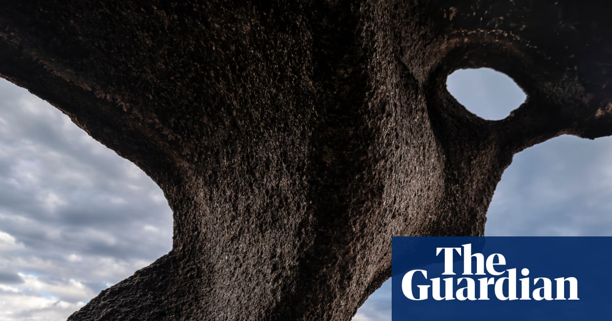 I want people to see nature as a wondrous work of art': Jon McCormack's best phone picture