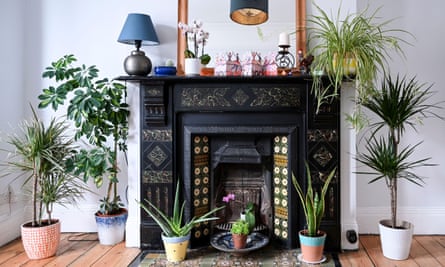 A Victorian tiled fireplace surrounded by a selection of healthy green houseplants in pots.
