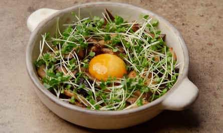 « Maintenant, je suis amoureux » : champignons à la sauce ponzo.