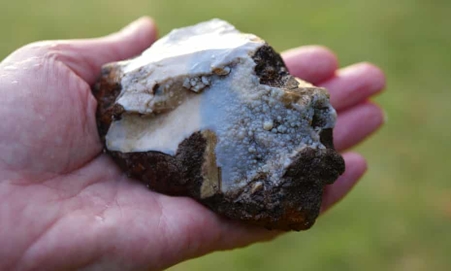 A nodule of wet chert from Hardown Hill, showing the colour banding and warty texture