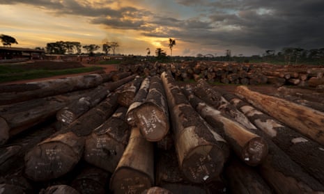 Timber operations in Mindourou, Cameroon, run by Pallisco, a sustainable logging company.