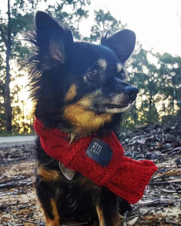 It wasn't long before she had the whole family wrapped around her paw, βsays Kay Campbell, the new owner of Snack.