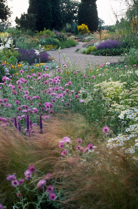 A dry summer perennial bed with gravel pathways at Beth Chatto’s garden at Elmstead, Essex.