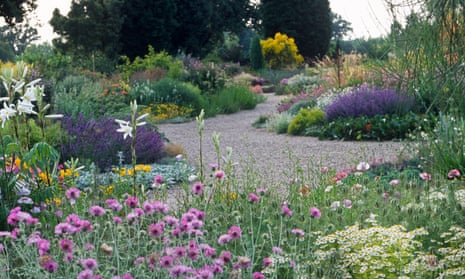 Drought resistant planting at Beth Chatto’s garden at Elmstead Essex