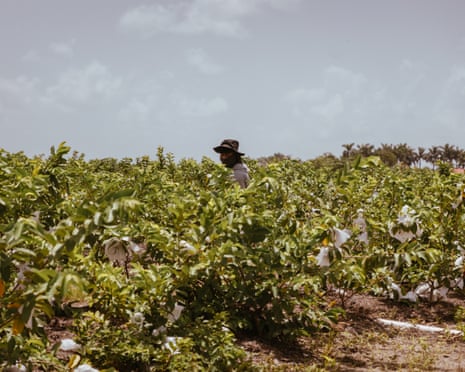 Man working in a field