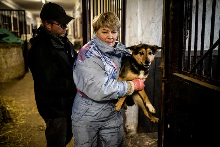 A volunteer carries a dog at the makeshift shelter at the Kyiv hippodrome