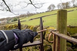 Is this the new normal? A walker uses a stick to open a gate in Wharfedale, West Yorkshire.