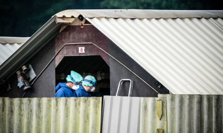 Workers at a mink farm where animals are being culled, in Deurne, The Netherlands.
