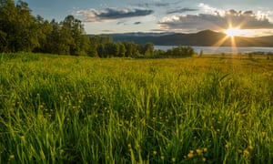 The midnight sun over a meadow in northern Norway.
