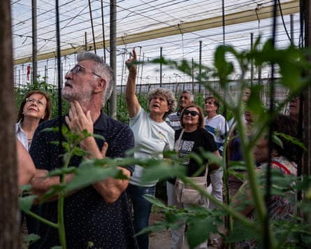 Lola Gómez points upward in a large greenhouse as other people look up