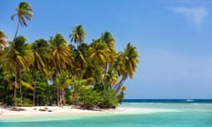 An idyllic white sand beach with palm trees and a turquoise sea