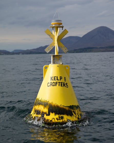 Une bouée jaune avec l'inscription KelpCrofters indique l'emplacement de la ferme d'algues.