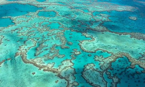 Great Barrier Reef should be placed on world heritage ‘in danger’ list ...