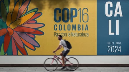 A man cycles past a hoarding promoting Cop16.