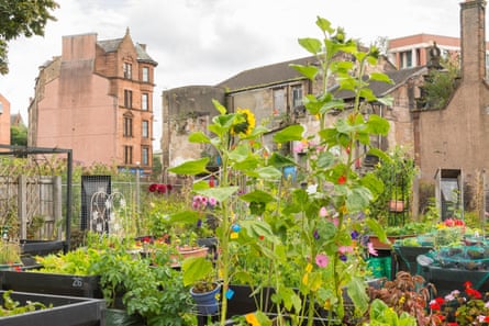 A garden with buildings in the background