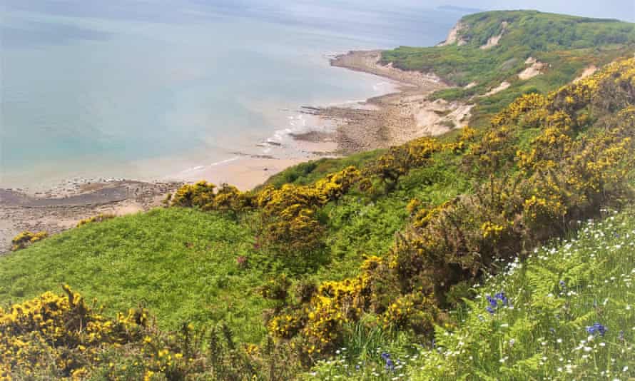 Fairlight Glen Beach, Hastings. 'At low tide you can walk back to Hastings under the cliffs, spotting fossils.'