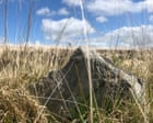 Country diary: Just how low can a stone circle go? | Sara Hudston