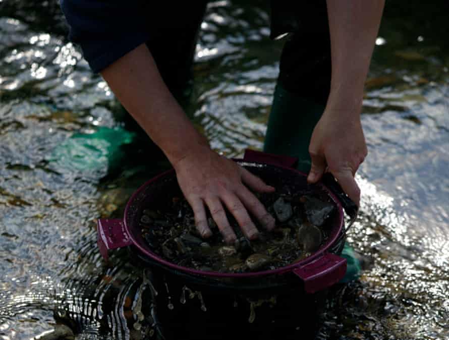 The hands of someone panning for gold in a Scottish river