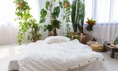 A sunny bedroom with lots of plants