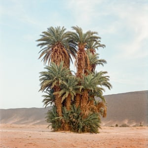 Before It’s Gone A long-term project examining the delicate nature of oases and date palms in Morocco, which are a vital block to desertificaton, and an important part of the biodiversity of the region