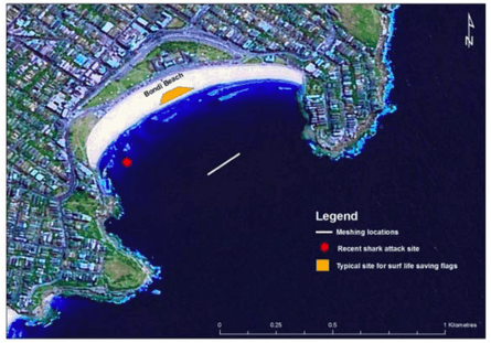 A 2009 NSW Fisheries map of Bondi beach showing the location of shark nets