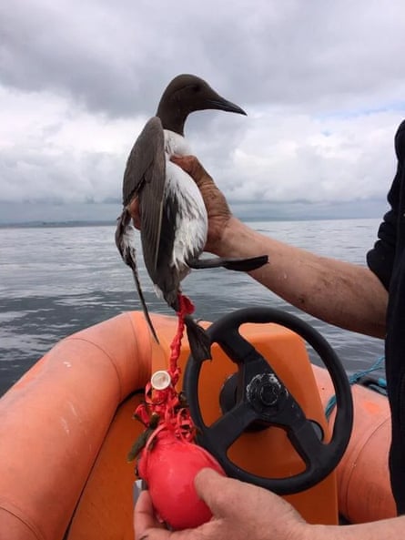 A bird is held up by a male arm in an orange dinghy against a grey sea, with a balloon and spring caught up in its leg